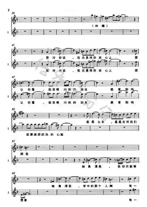 《她真漂亮》五线谱二重扒谱