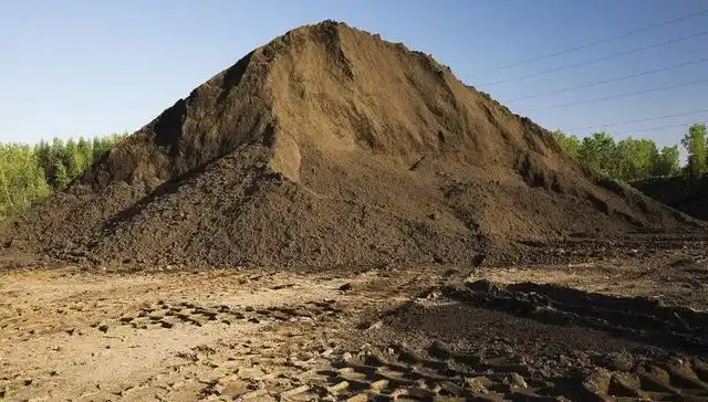 面试官一堆土加一堆土是多少堆土初中生的回答让研究生傻了眼