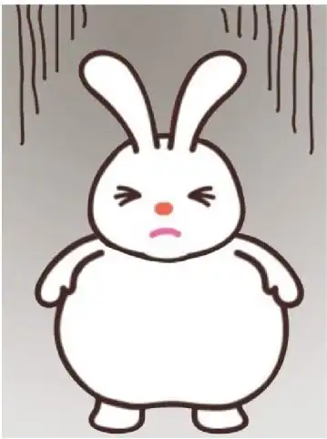 你喜欢这个胖兔子吗