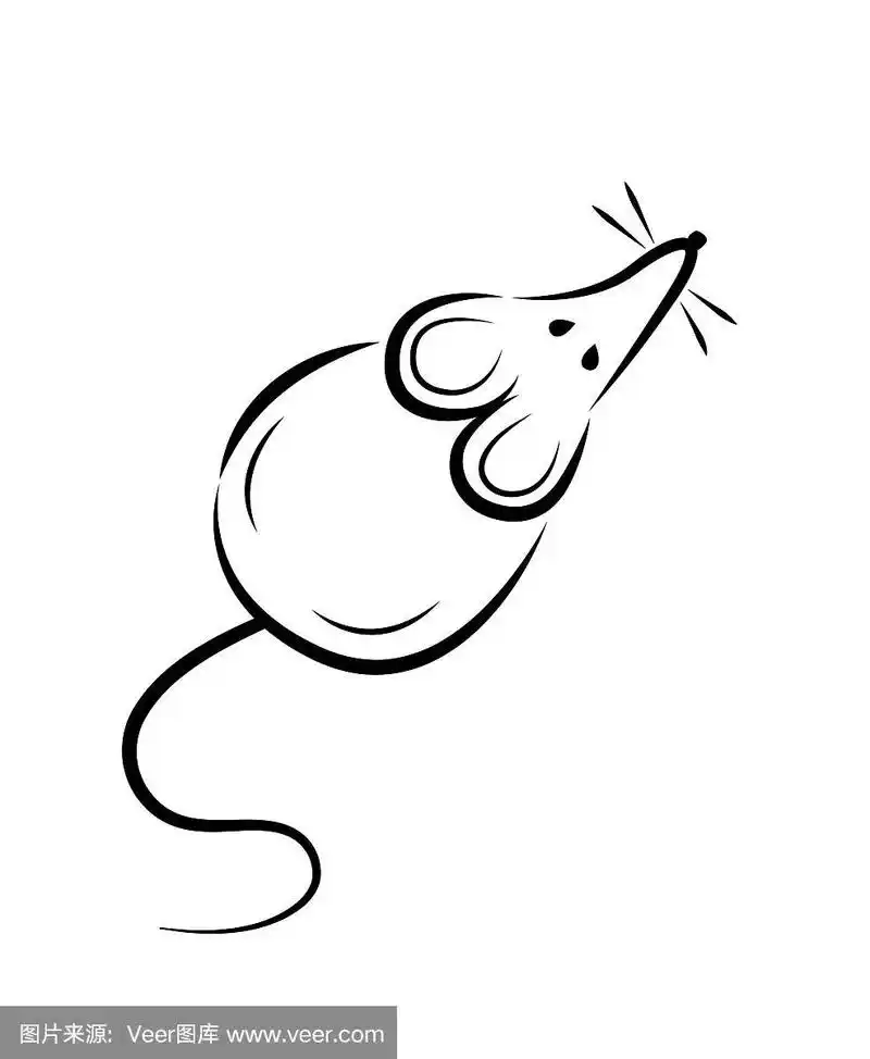 黑色的剪影一只老鼠或老鼠在一个白色