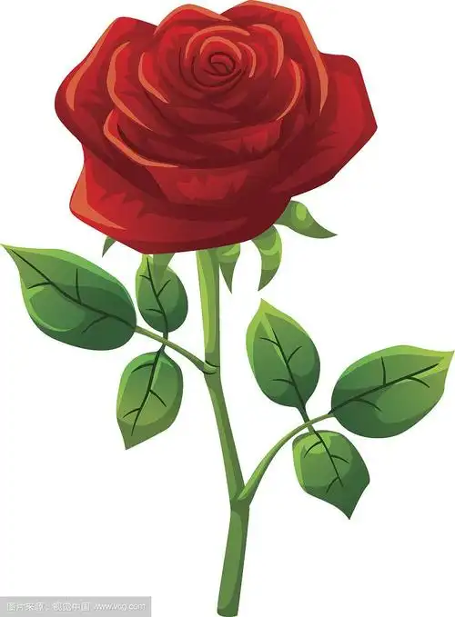 红玫瑰卡通风格