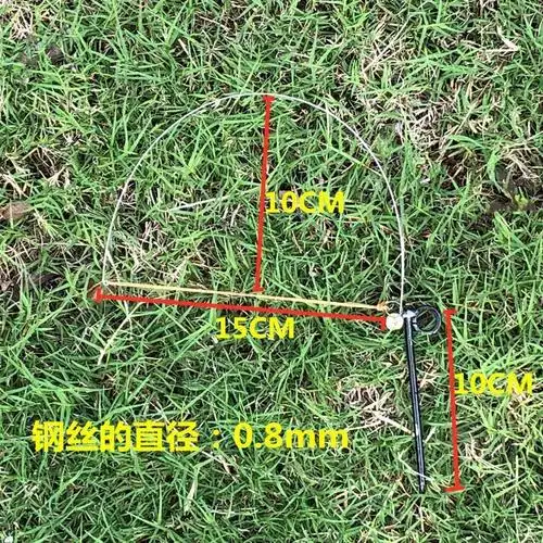 伴脚脚套(20个)【图片 价格 品牌 报价】