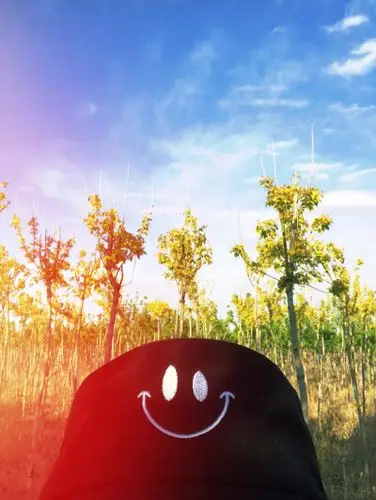 要快乐文字壁纸