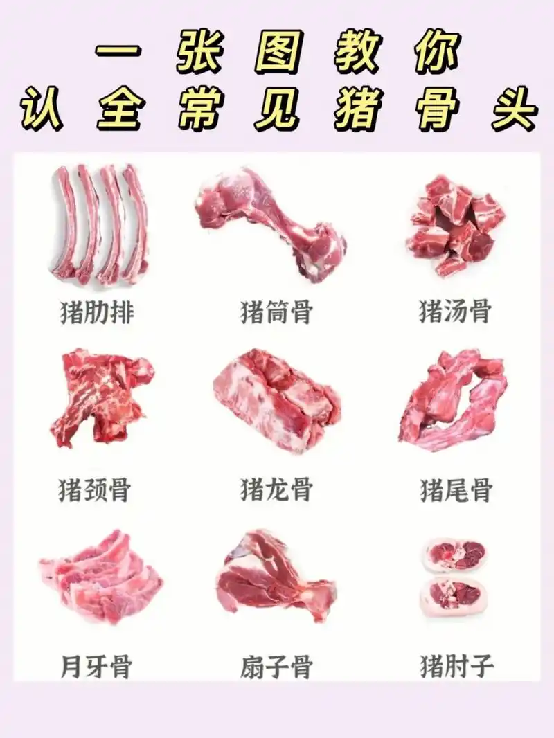 一张图教会你识别常见猪骨头的区别与做法!