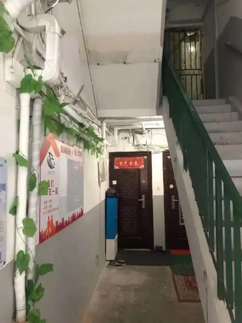 普陀这个楼道美得让居民舍不得搬家