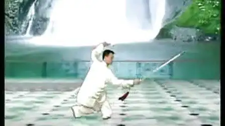 陈思坦42式太极剑12 第3段2背面示范