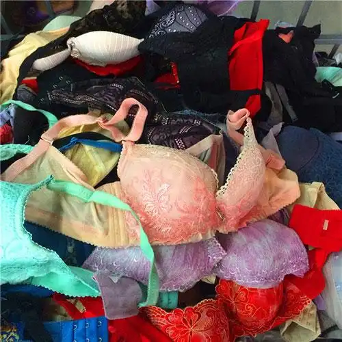 二手文胸 价格:500元/0.1kg