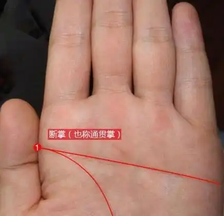 断掌纹的男人命运如何-996手相网