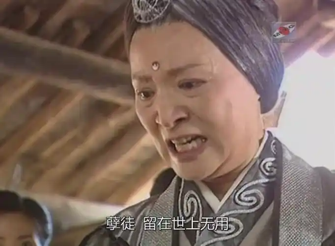 在1994版《倚天》中,周海媚的师父"张冰玉"饰演的灭绝师太更是令人