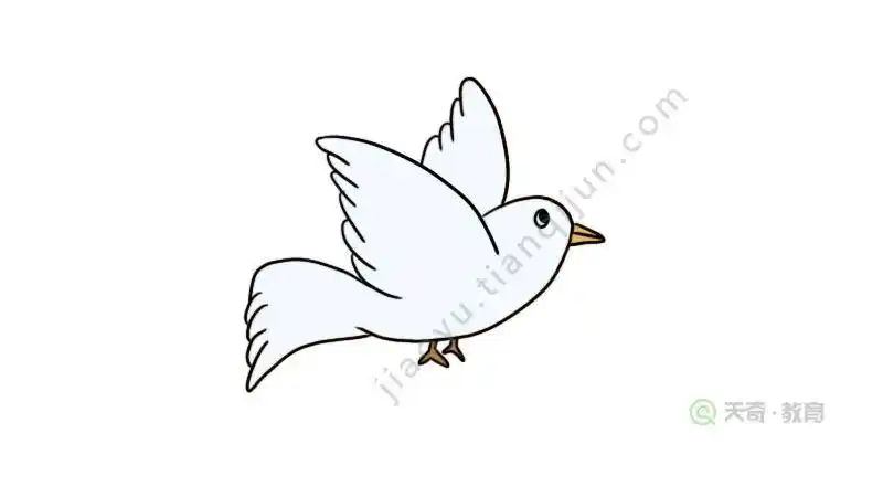 消防车简笔画 瓢虫简笔画 和平鸽简笔画 首页 简笔画 故事 手抄报