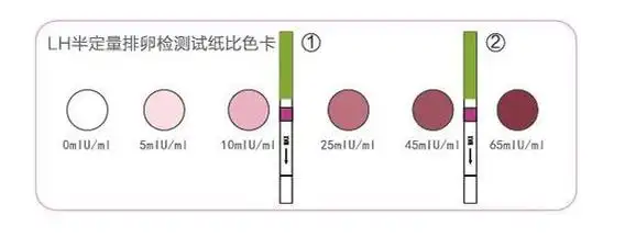 半定量排卵检测试纸比色卡