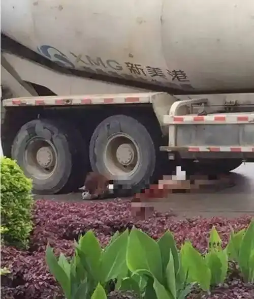 车祸现场时,一辆车牌号为闽c72358的水泥灌车停在车道上,在右后轮下压