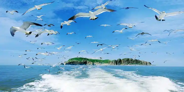 中国最大最美的四大海是哪些