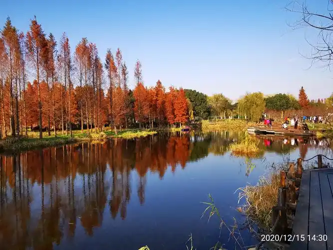 上海青浦郊野公园