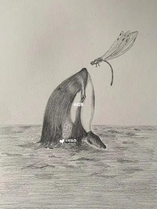 虎鲸#素描  #素描动物  #虎鲸  #绘画