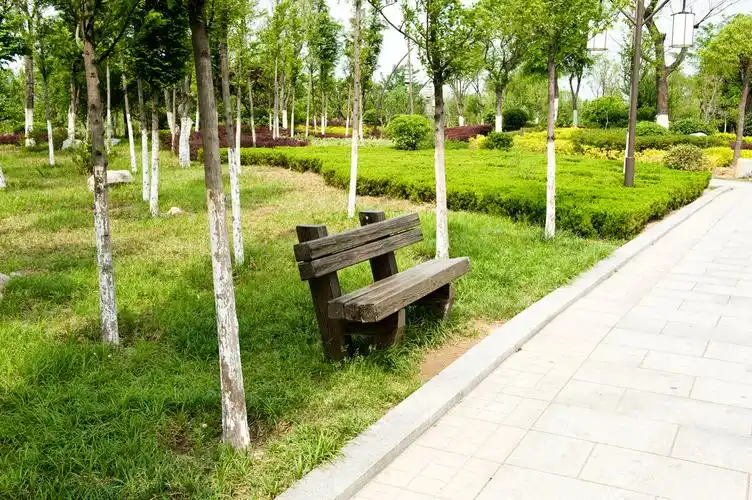 公园中的长条木椅