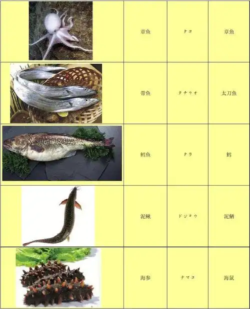 鱼类中日文对照