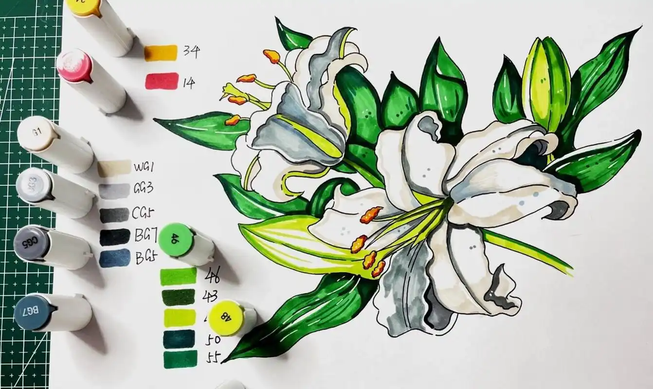 马克笔花卉类手绘|百合花|含线稿色号 希望大家每一天的生活都可以