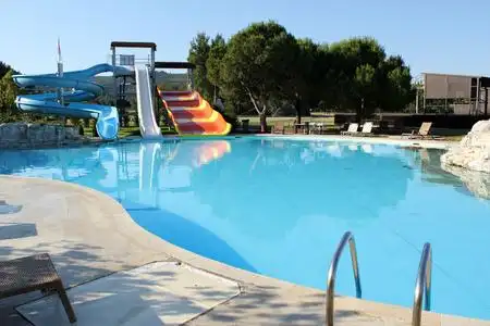 游泳池的场景图片