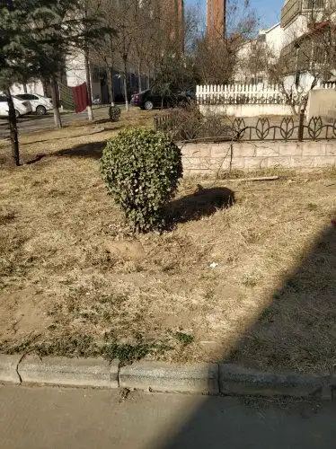 阳光小区(武安)