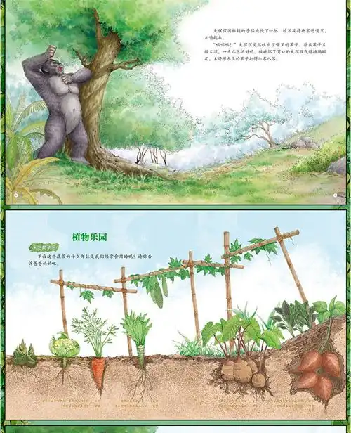 奇趣植物科普绘本全套有10册奇妙大自然少儿图书课外书科普读物幼儿童