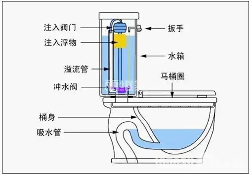 【虹吸式马桶结构图】虹吸式马桶结构图及解析