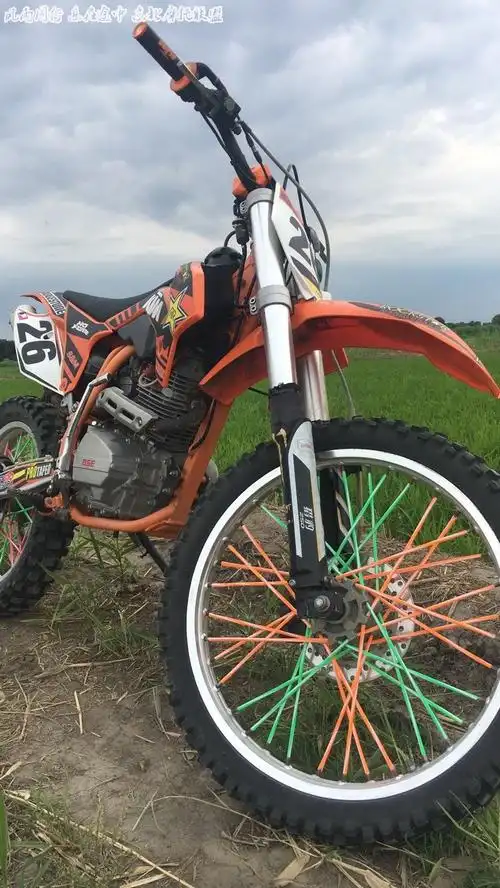 16年波速尔猎豹