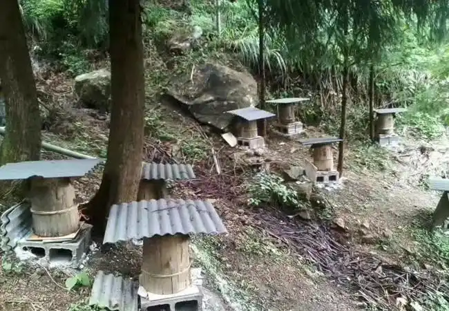 已结束 绝症患者家庭的心酸无奈: 半