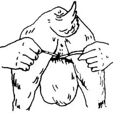 公羔羊去势育肥及分阶段育肥法