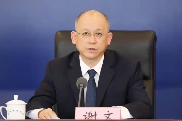 国家税务总局稽查局副局长 江武峰江武峰:感谢您的提问.