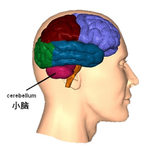 什么?嘴里起个泡,竟然是抑郁的前兆