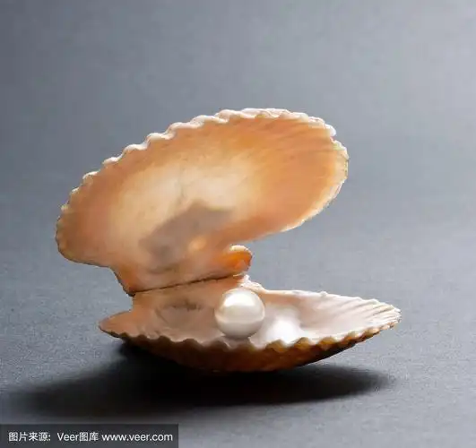 牡蛎壳中的珍珠