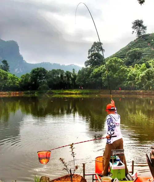 闽北渔乐欣赏(211)武夷山郊野钓鱼大赛
