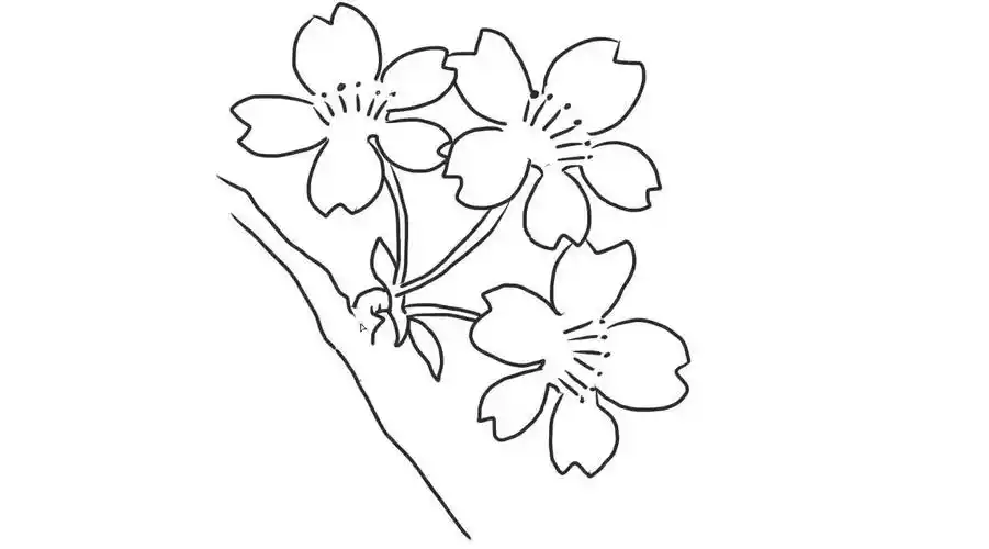 一枝樱花幼儿亲子儿童简笔画