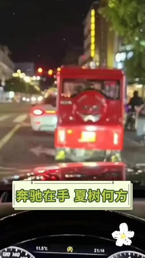 奔驰在手,夏树何方