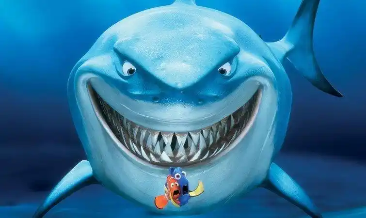为何鲨鱼题材影片会票房大卖?《巨齿鲨》一直好评不断