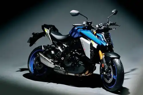 suzuki新一代运动街车2021gsxs1000静态特写2