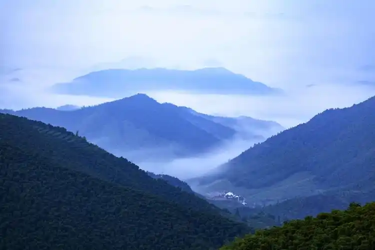 第282期 全国摄影艺术交流群作品展