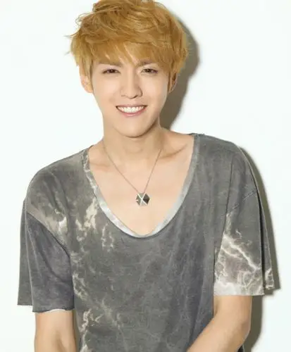 exo吴亦凡23岁生日 粉丝以公益形式为偶像庆生吴亦凡温暖笑容搜狐娱乐