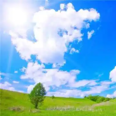 风景微信头像好运发财 - 搜狗图片搜索