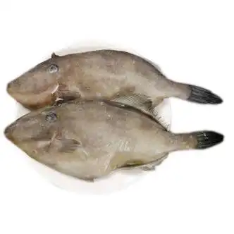 耗儿鱼新鲜剥皮鱼鲜活冷冻马面鱼特大扒皮鱼海鲜水产火锅  腾旺纳跃 1