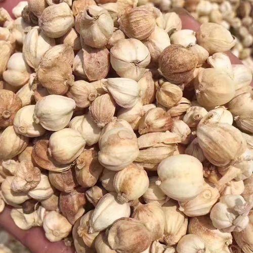 豆蔻白蔻250g包白寇调料香料卤肉火锅烧肉白扣花椒