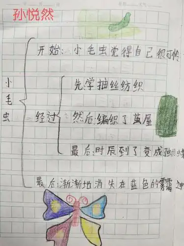 《小毛虫》思维导图