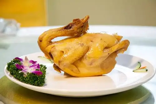 招牌茶油鸡免费送四会再增爆款农庄知名美食达人特别推荐正宗野味等你