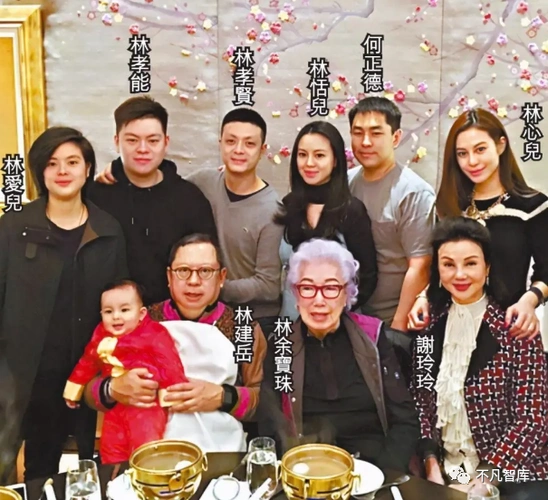 谢玲玲嫁给林建岳后,放弃了演艺事业,一直安心做自己的豪门太太,一直