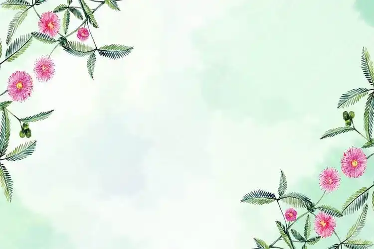 两张绿叶红花ppt背景图片