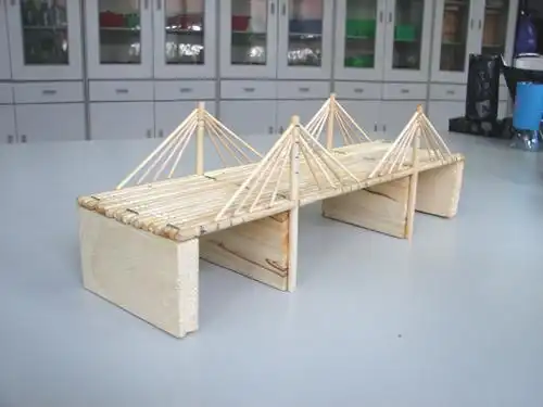 通用技术的作品 需要做一个有科技含量的作品 速求!