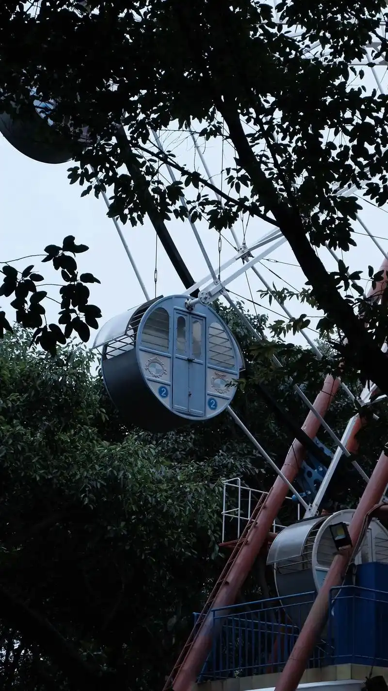 晋江世纪公园7415入园免费～|阴天的时候我愿称之为"福建版～杭