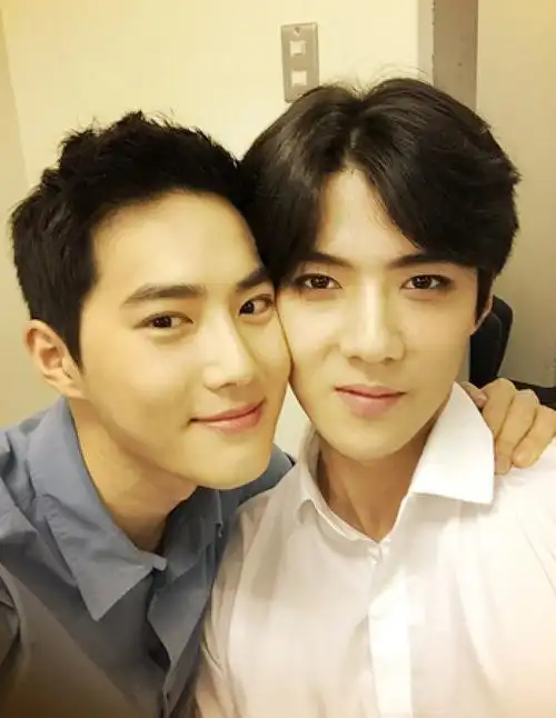 exo 金俊勉 suho 吴世勋 sehun