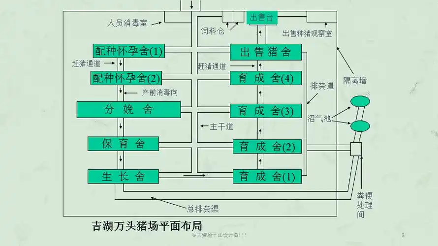 各大猪场平面设计图课件